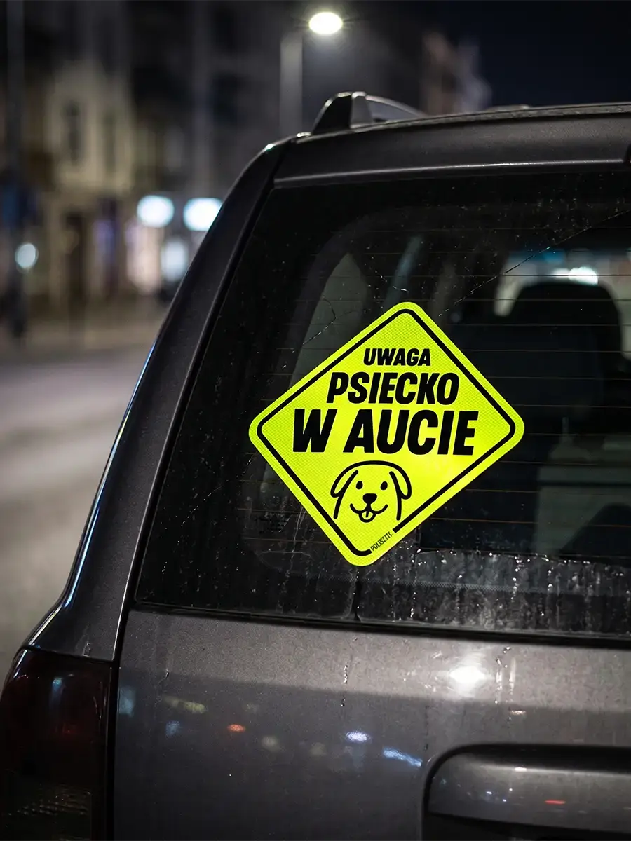 naklejka psiecko w aucie