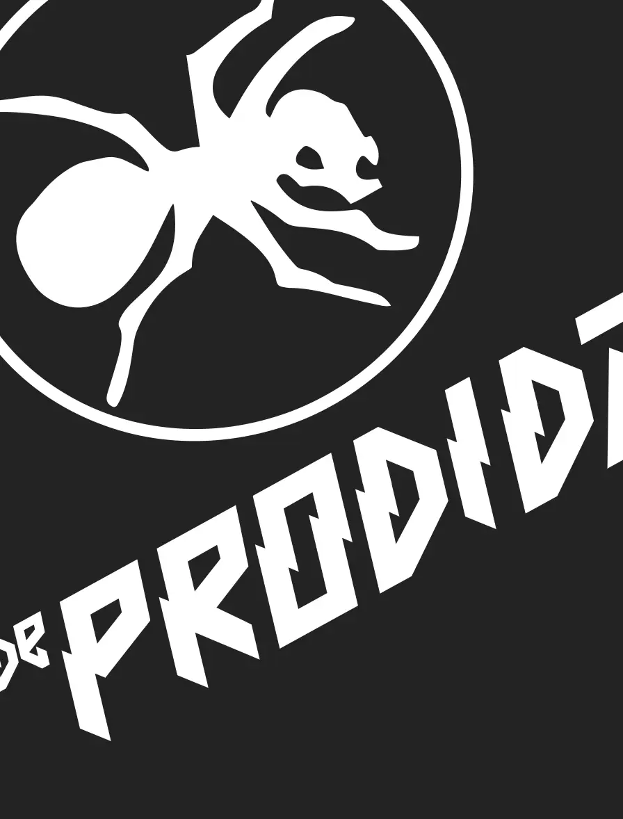 Koszulka The Prodigy - obrazek 4